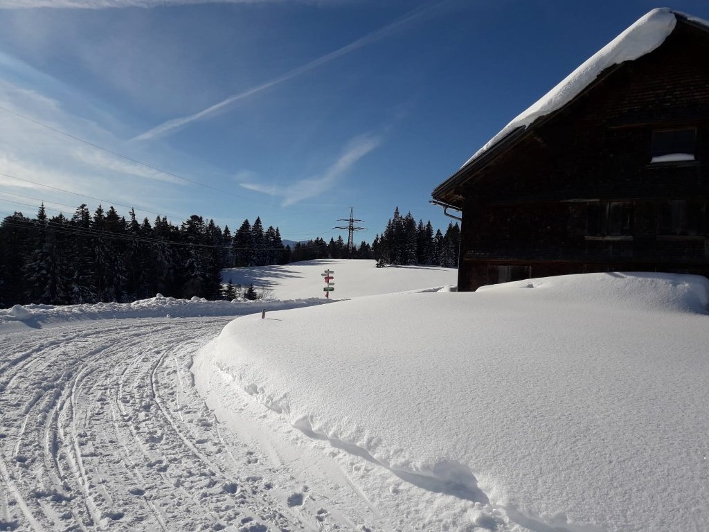 Rodelbahn Alberschwende Brüggelekopf