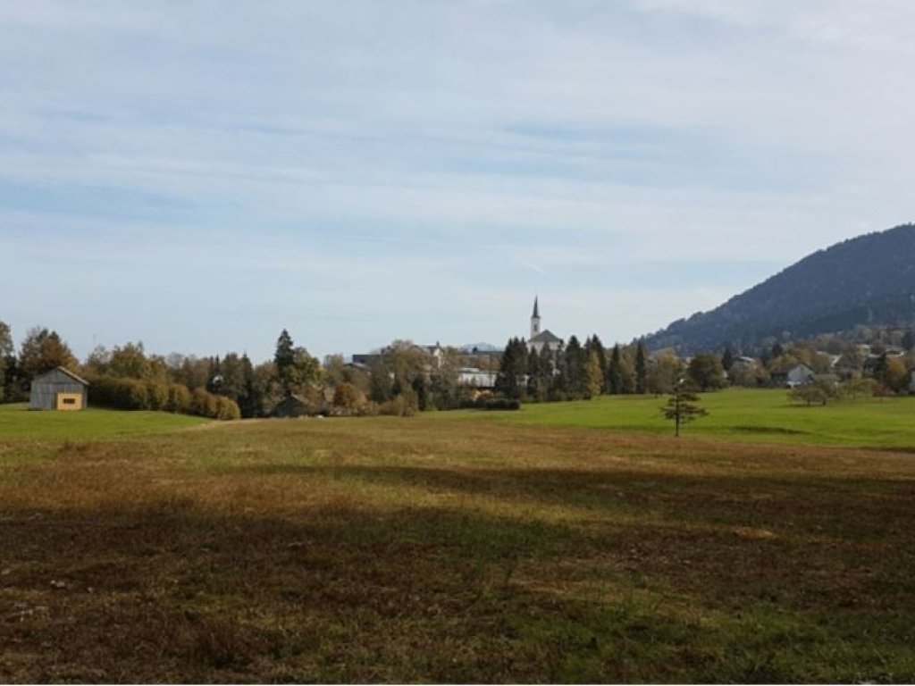 Blick vom Schollomoos auf die Kirche Alberschwende