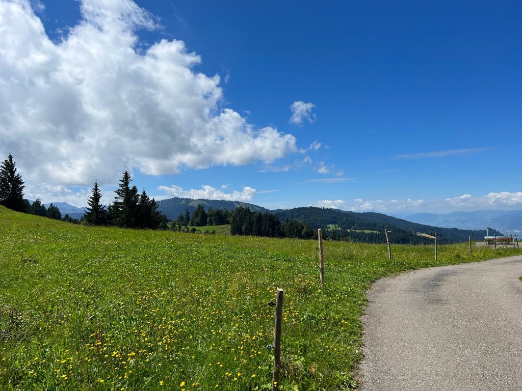 Weg zum Brüggelekopf