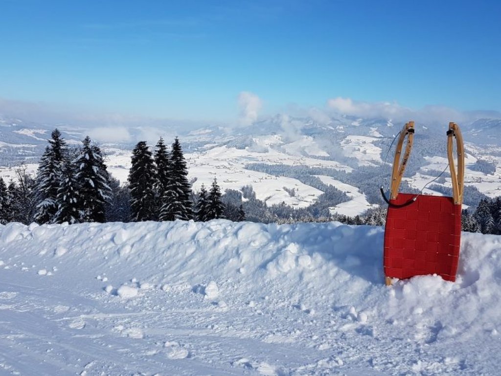 Rodelbahn Brüggelekopf, Alberschwende