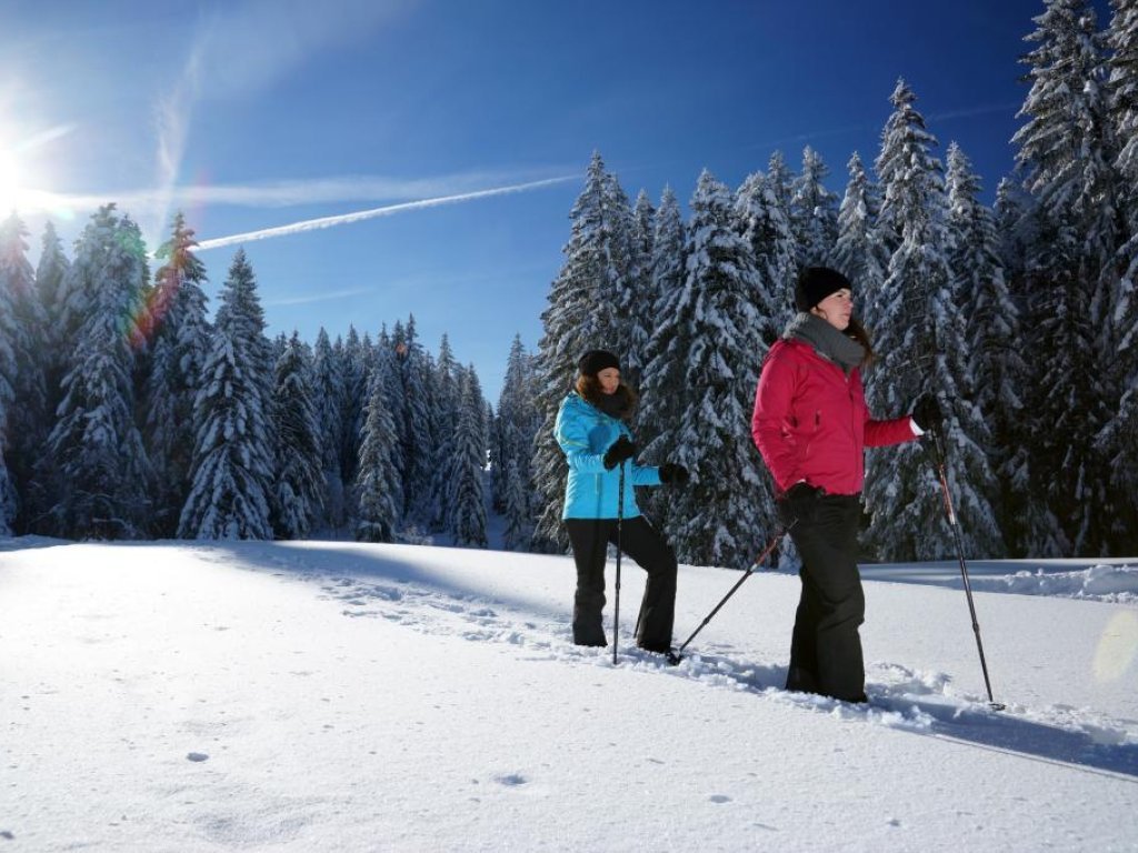 Verschneite Landschaft am Brüggelekopf