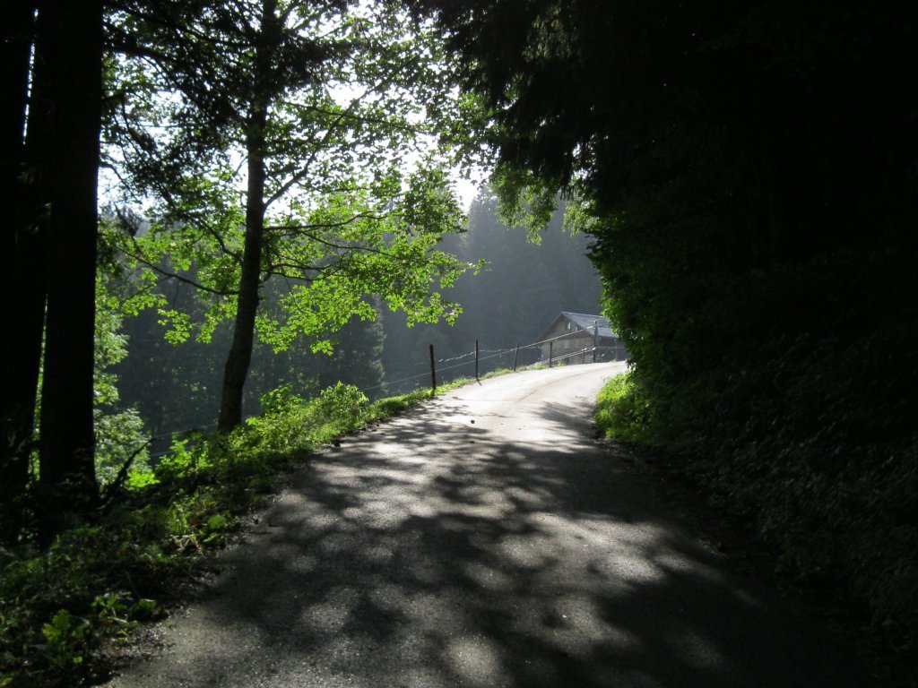 Weg Richtung Klausberg